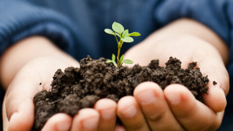 MBA Gestão Ambiental