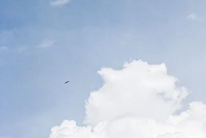 Ciências da Religião