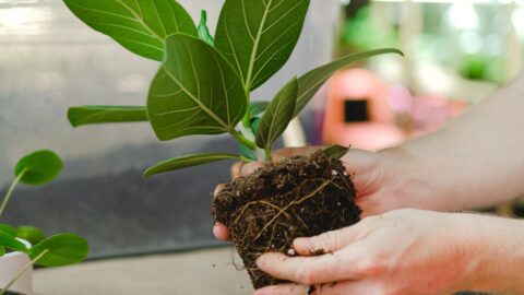 ESG-Sustentabilidade Ambiental, Social e Compliance