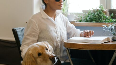 Inclus&atilde;o Escolar de Alunos com Defici&ecirc;ncia Visual