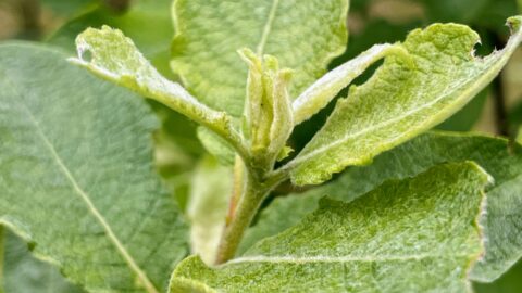 Recursos Naturais e Sustentabilidade