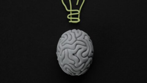 Neurociência Educacional