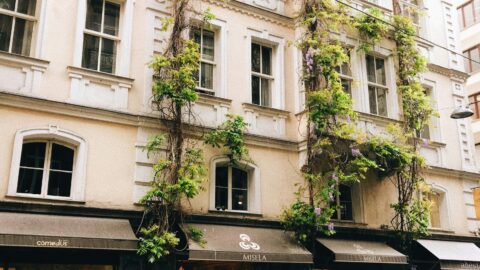 MBA em Gest&atilde;o Socioambiental e Desenvolvimento Sustent&aacute;vel