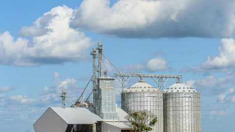 Gest&atilde;o Estrat&eacute;gica do Agroneg&oacute;cio